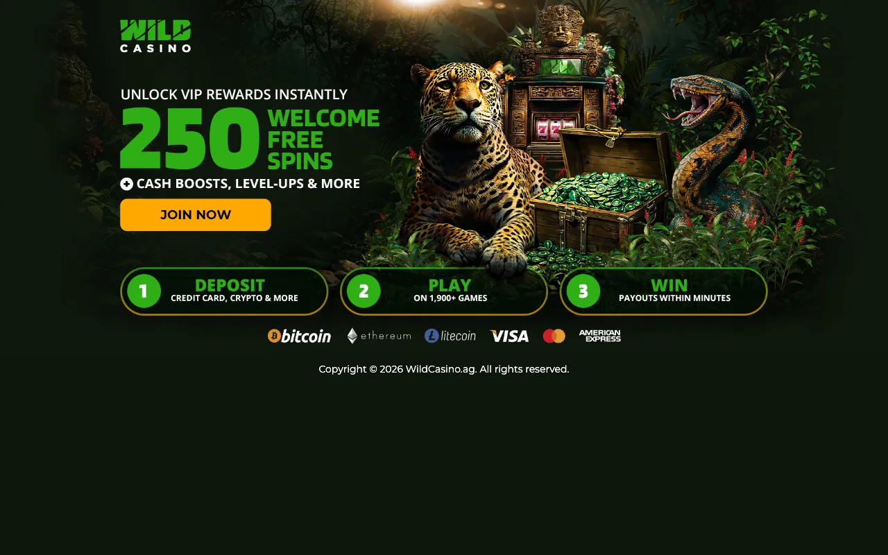 Wild Casino casino homepage showing the current welcome offer (US capture)
